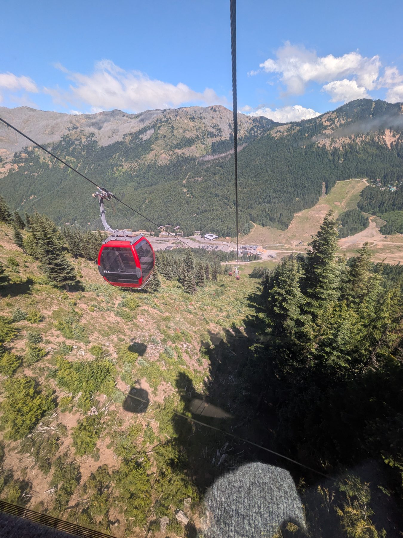Gondola ride to see Mount Rainier photo 2